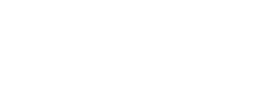 w2c fia world rally championship